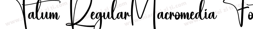 Tatum RegularMacromedia Fontographe字体转换